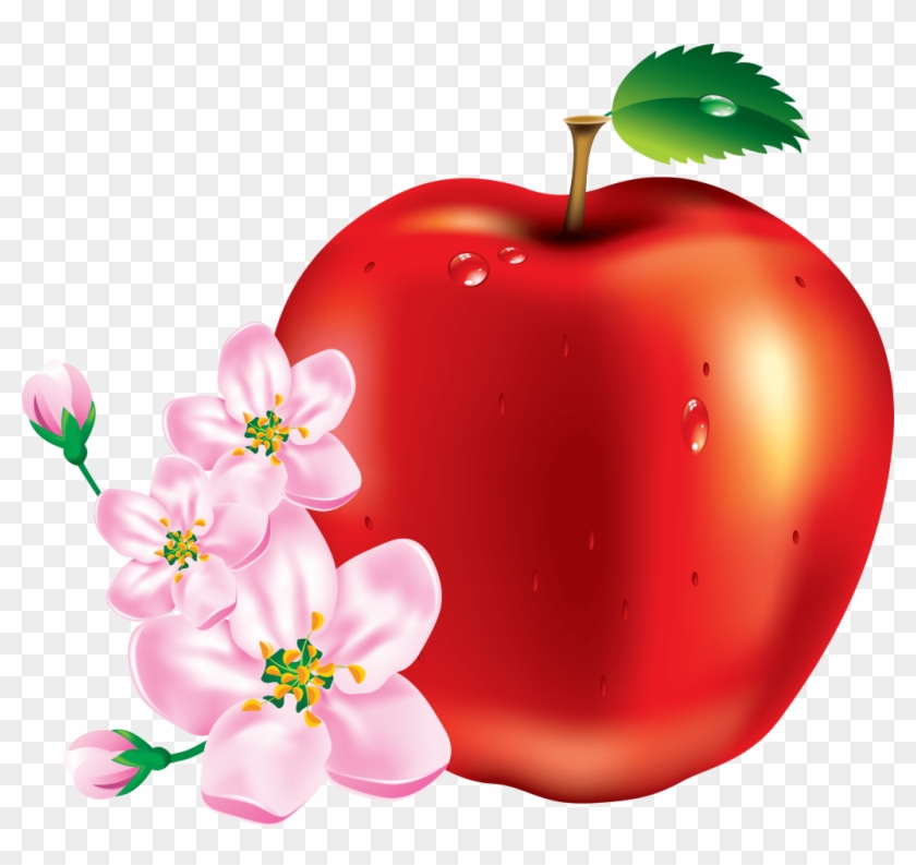 Download Vector Apple Fruit Png Pictures