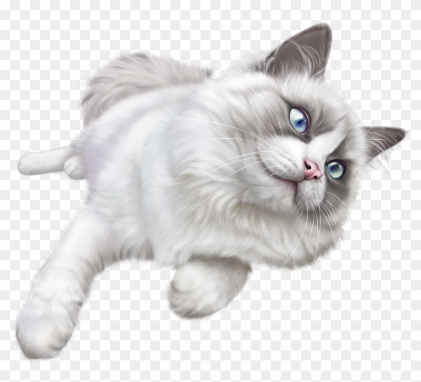White Cat Png Clip Art White Cat Transparent Background Png Download 1134x994 607048 Pngfind - white cat hat roblox
