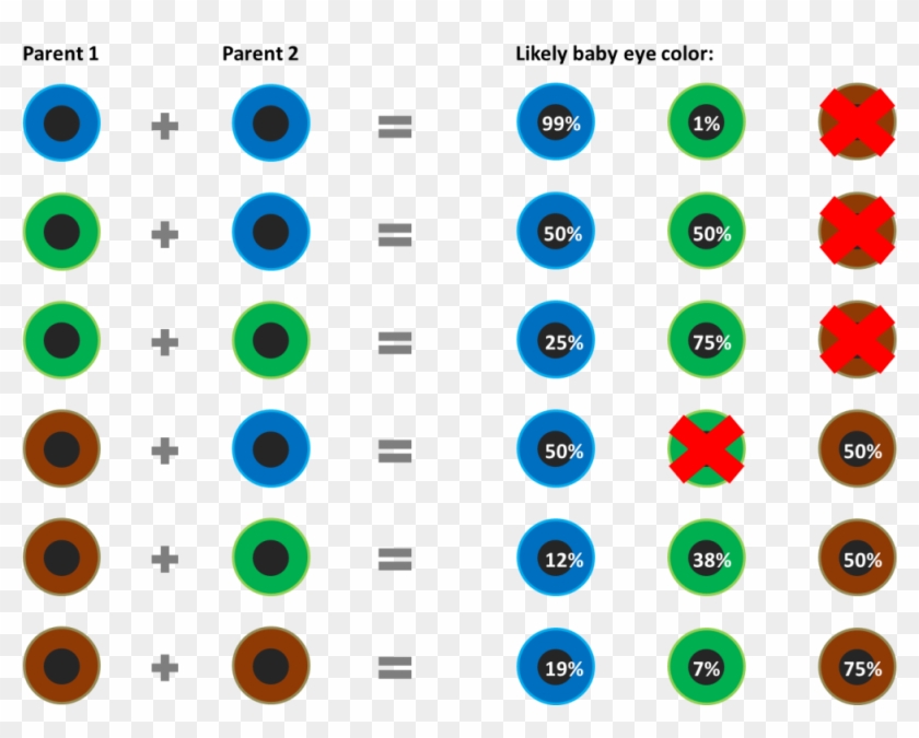 Eye Color Chart