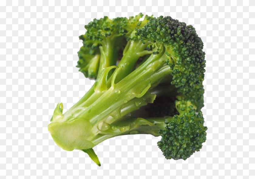 044-brocoli - Verdura Que Parece Arvore, HD Png Download - 600x607