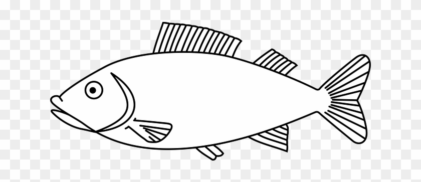 outline drawings of fish