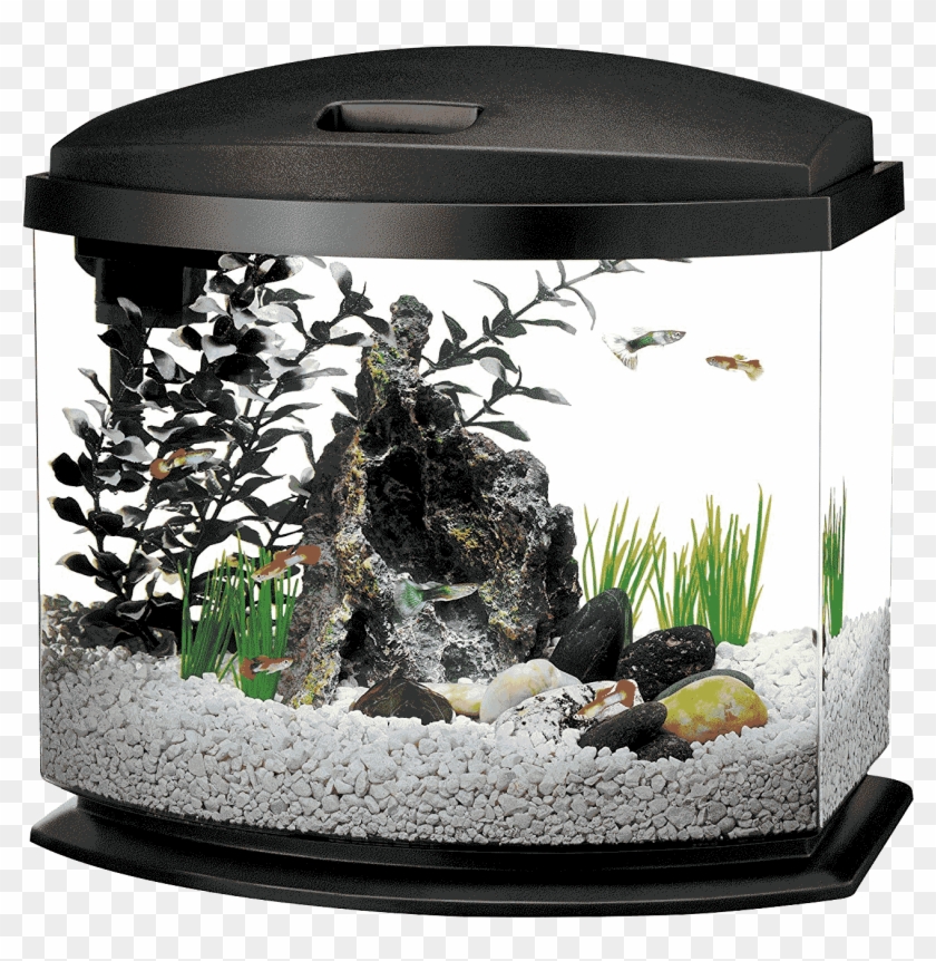 5 Gallon Fish Tank, HD Png Download - 1500x1500(#6030348) - PngFind