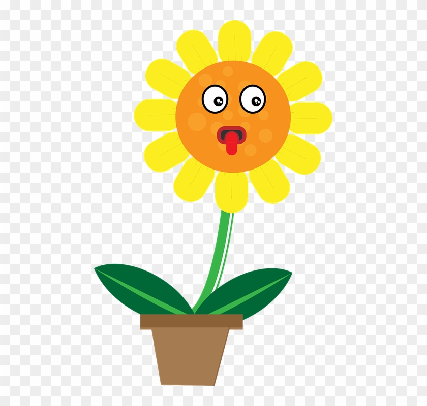 Sun Flower Character Animation Cute Gambar Bunga 