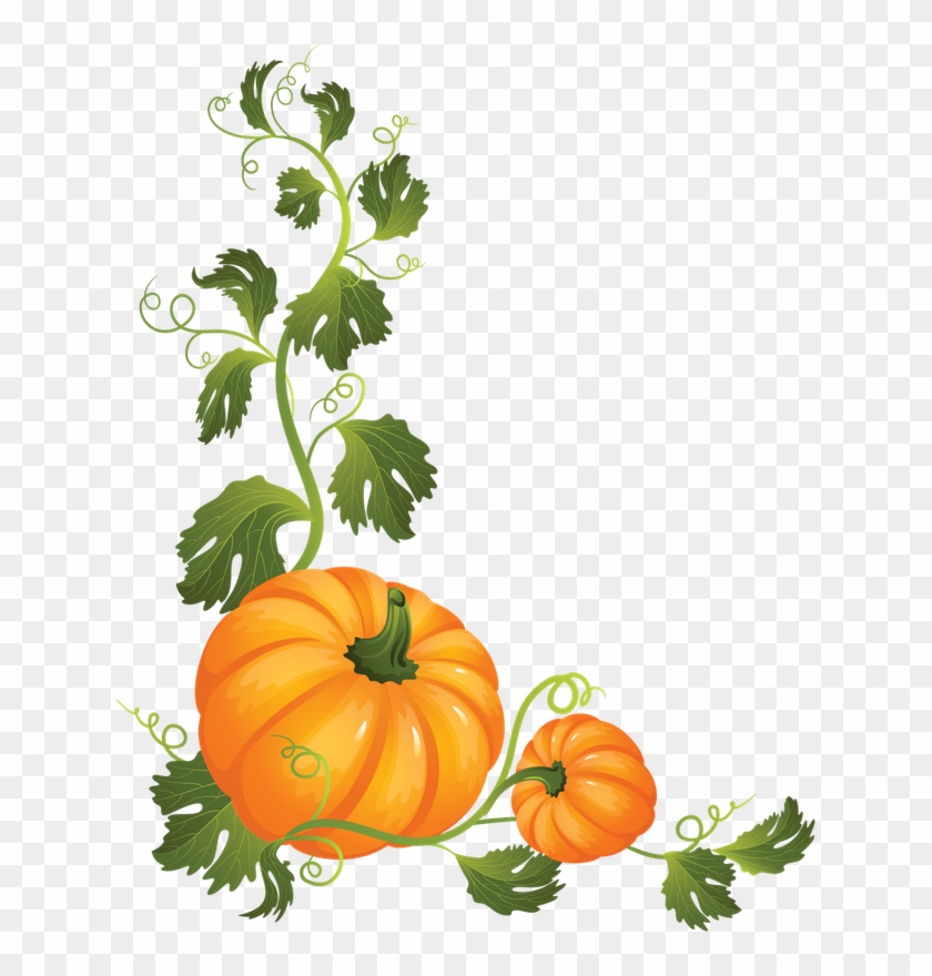 Discover Ideas About Pumpkin Vine - Pumpkin On A Vine Clipart, HD Png  Download - 632x800(#6070887) - PngFind