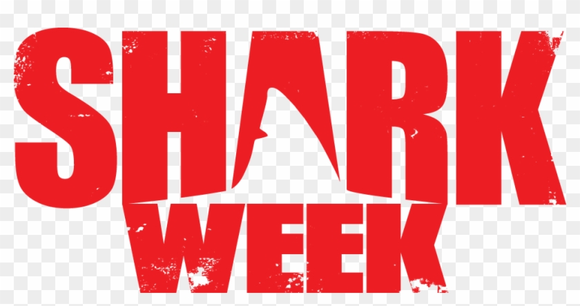 Free Free 64 Shark Week Svg SVG PNG EPS DXF File