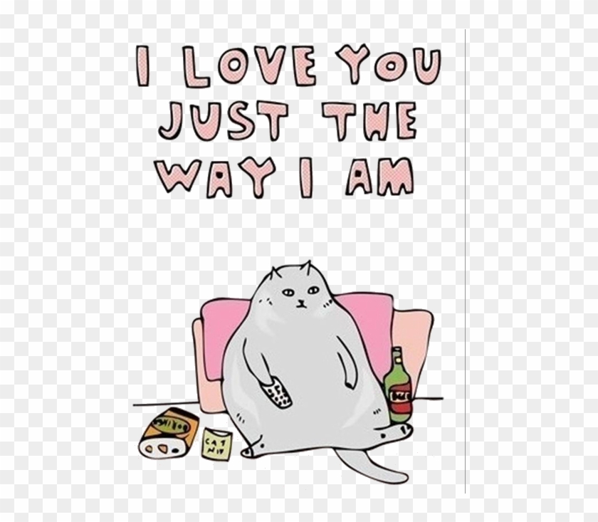 My Edit Cats Transparent Fat Cat Source Needed - Happy Funny Valentines Day  Quotes, HD Png Download - 500x652(#6083699) - PngFind