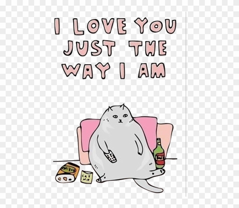 My Edit Cats Transparent Fat Cat Source Needed - Happy Funny Valentines Day Quotes, HD Png Download - 500x652(#6083699) - PngFind My Edit Cats Transparent Fat Cat Source Needed - Happy Funny Valentines Day Quotes, HD Png Download - 500x652(#6083699) - PngFind