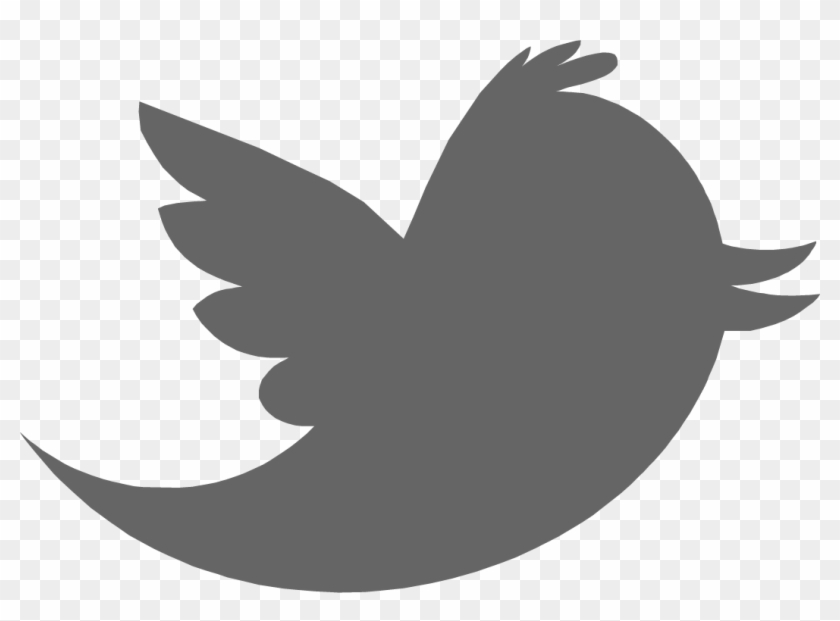 Twitter Grey Old Twitter Logo Png Transparent Png 1055x730 6104 Pngfind