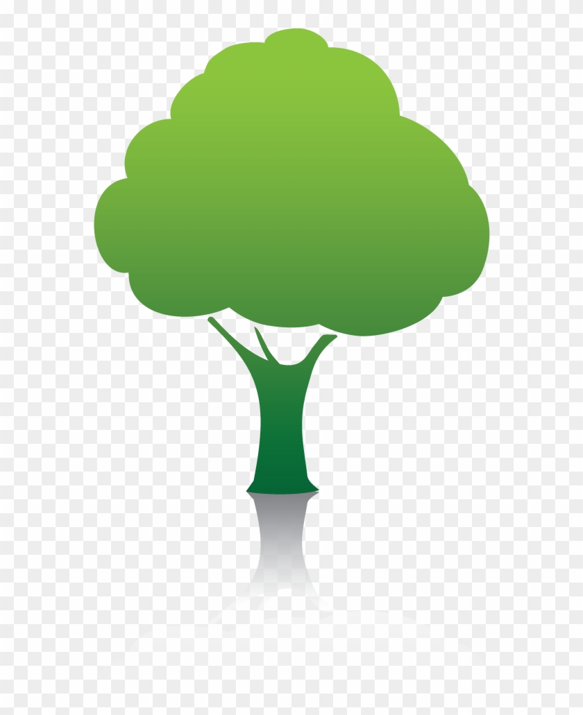 Save Tree Transparent - Save Tree Icon Png, Png Download - 572x951 ...