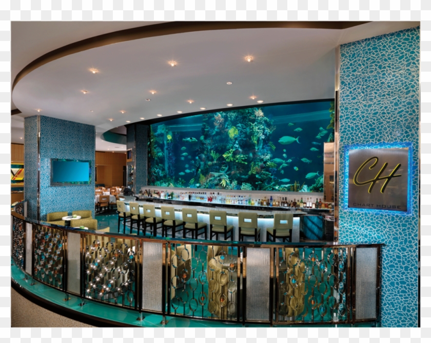 Champion - Fish Tank Restaurant Las Vegas, HD Png Download - 1024x1024 ...