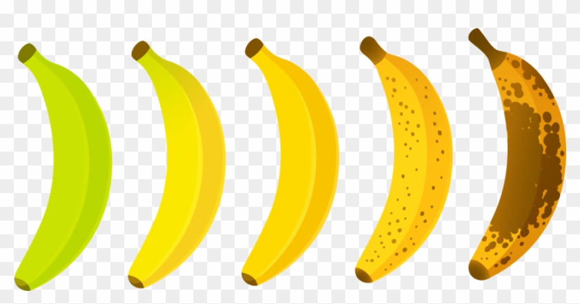 Banana Ripeness Chart