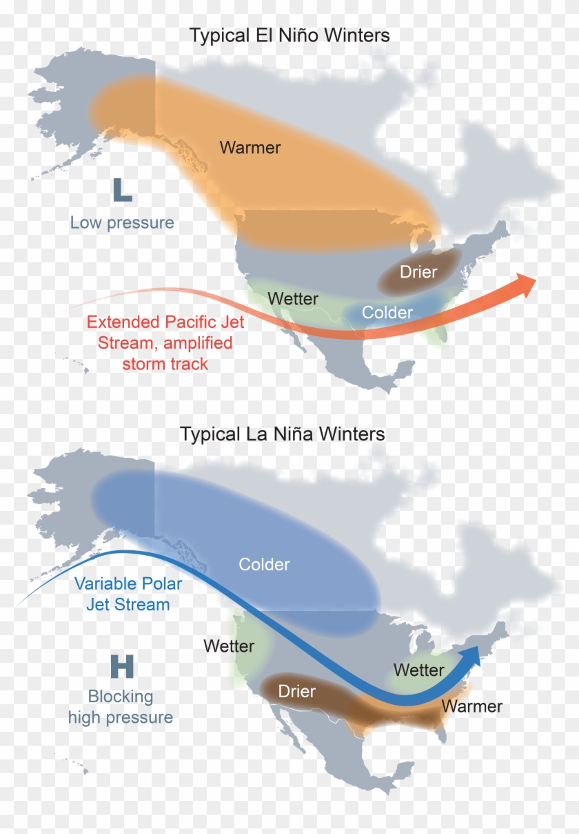 Tree Map Pin View - Map, HD Png Download - 4096x5770(#6130010) - PngFind