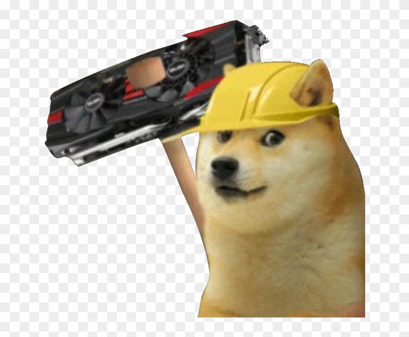 A Day In The Dogecoin Shibes Life 24/7 - Shiba Inu, HD Png ...