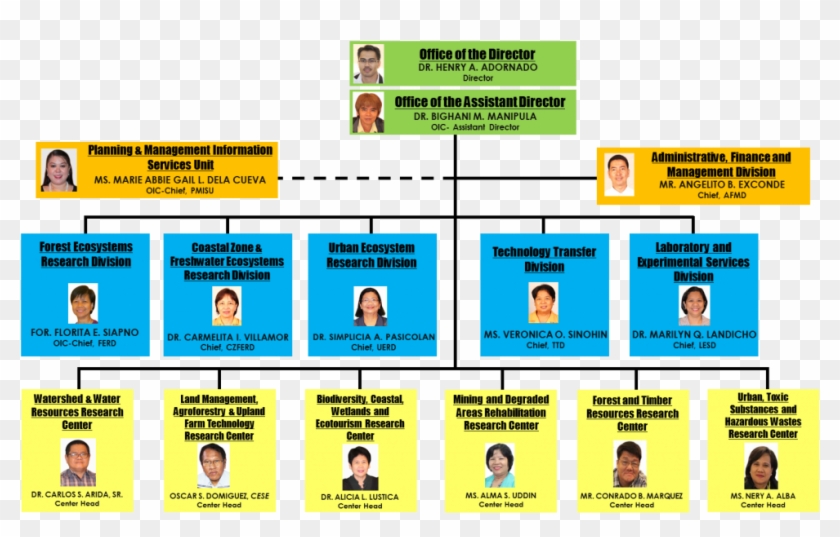 Organizational Chart Maker Word