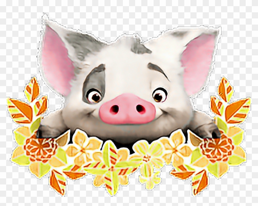 Moana Png Download Cute Pua From Moana Transparent Png 1024x769 Pngfind
