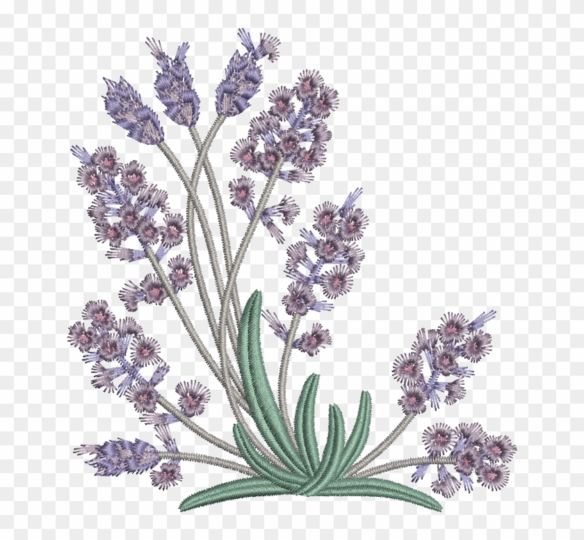 Embroidery fbnyp lavender flowers  png download  lavender machine