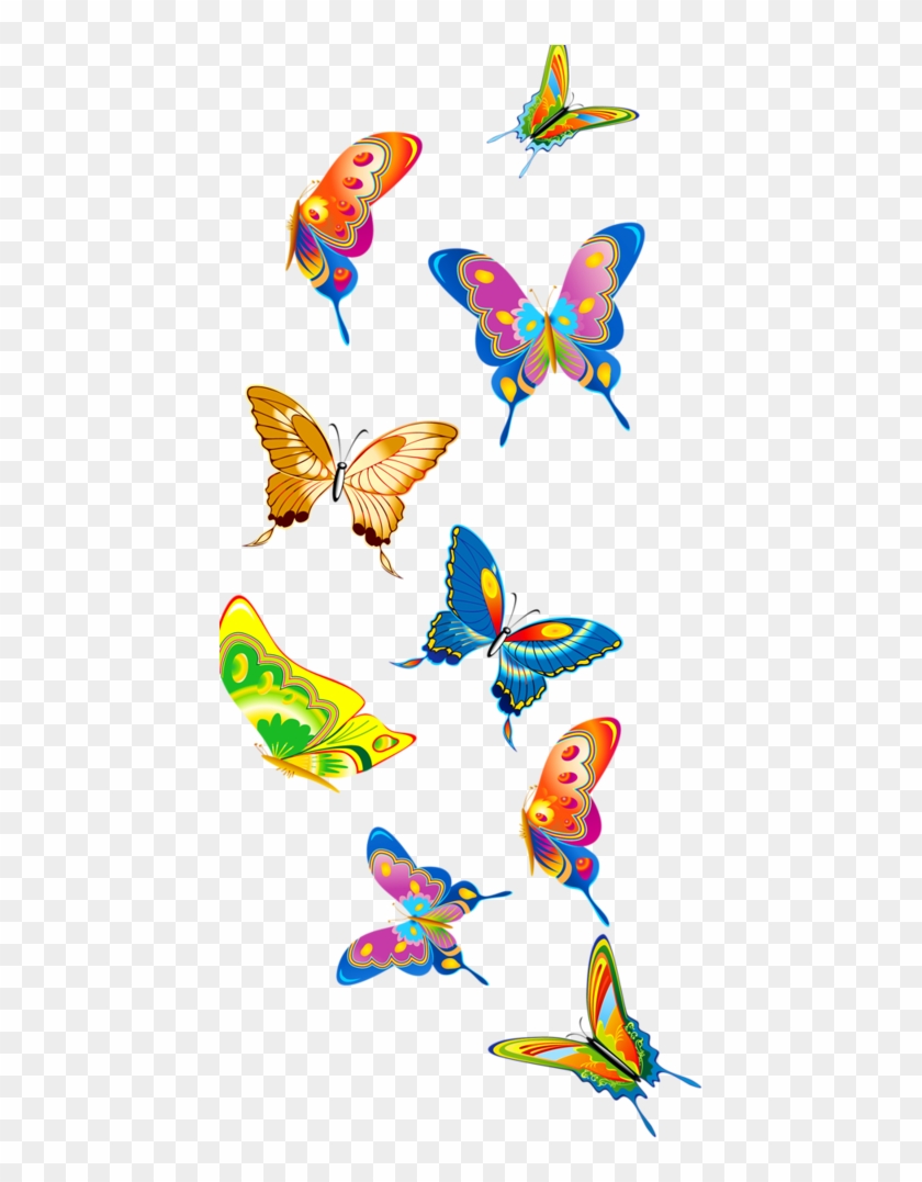Voiture Rouge Png Centerblog Png Download Butterflies Clipart Transparent Png 441x997 Pngfind Voiture Rouge Png Centerblog Png Download Butterflies Clipart Transparent Png 441x997 Pngfind