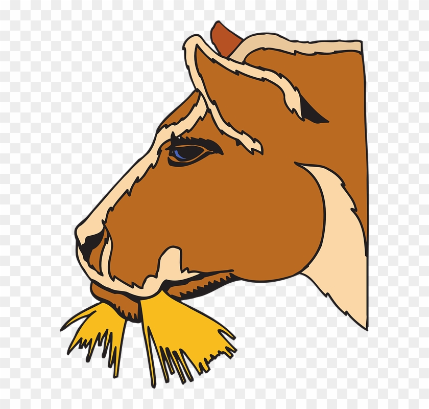 Download Cow Eating Hay Clipart Horse Eating Hay Clip Art Hd Png Download 605x720 620026 Pngfind 3D SVG Files Ideas | SVG, Paper Crafts, SVG File