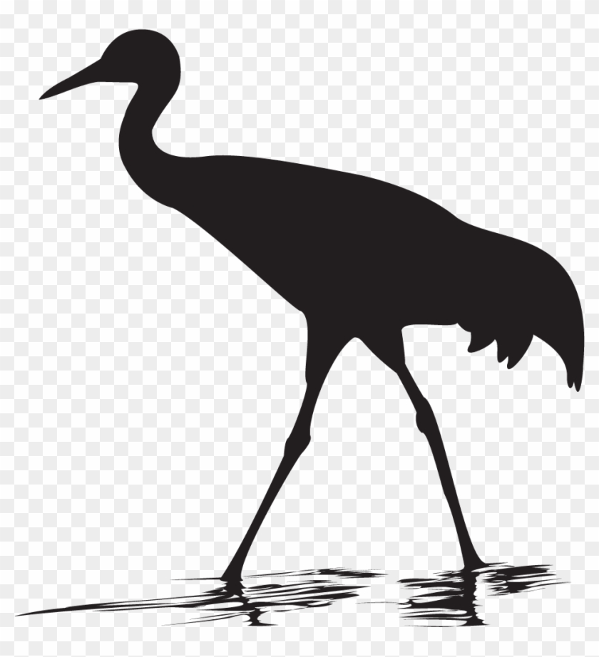 Whooping Crane Overview - Whooping Crane Silhouette, HD Png Download