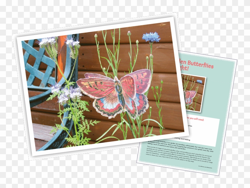 Garden 3d Butterfly Garden 3d Butterfly Brush Footed Butterfly Hd Png Download 760x560 6205753 Pngfind