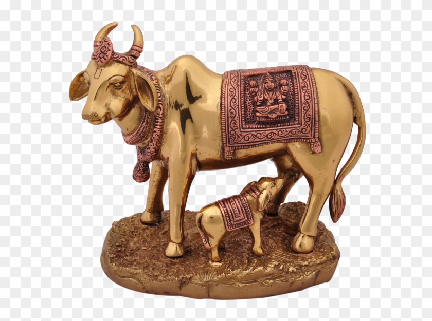 98 Gau Mata Image Beautiful Hindu Holy Cow Gaay Mata Photos