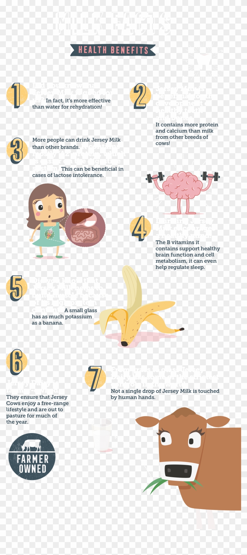 Search, HD Png Download - 3600x7554(#6211057) - PngFind