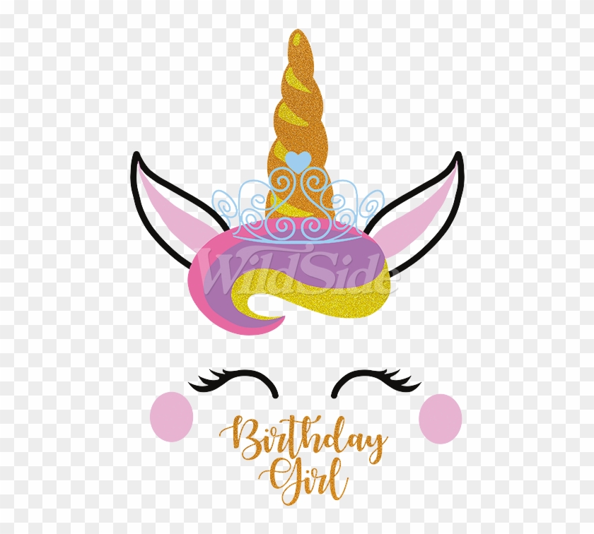 Birthday Girl Unicorn Adult Hd Png Download 675x675 6235486 Pngfind