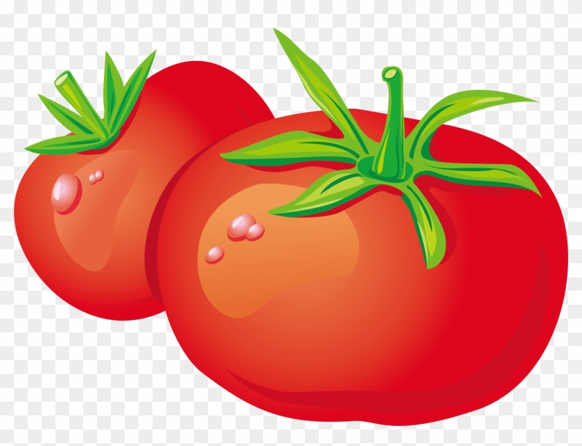 Bush Clipart Vegetable Plant - Tomatoes Cartoon Png, Transparent Png