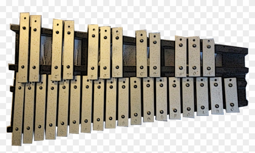 The Original Multibuy Rattly - Xylophone And Glockenspiel Png, Transparent  Png - 1000x750(#6249585) - PngFind
