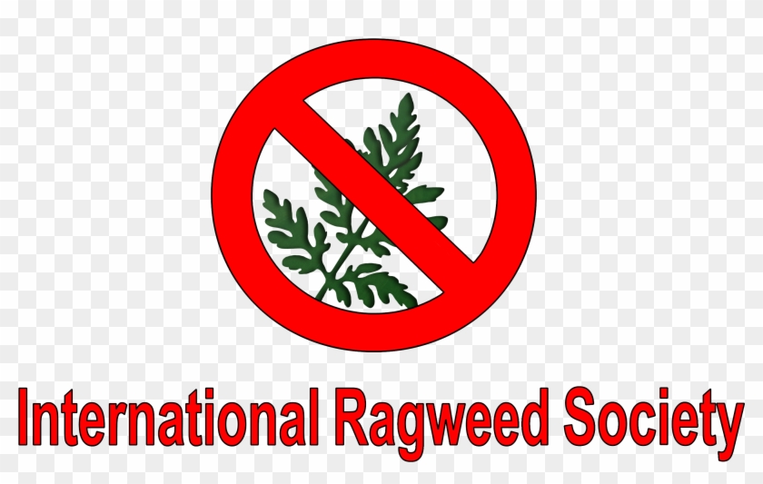Irs Logo Png Emblem Transparent Png 3000x2250 6254597 Pngfind