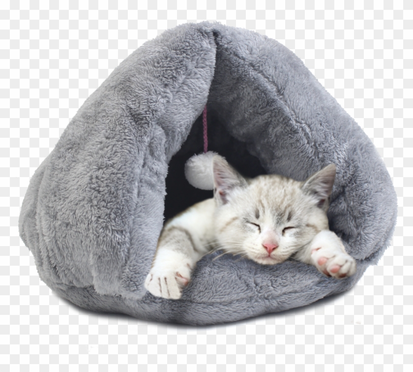 cat in sleeping bag