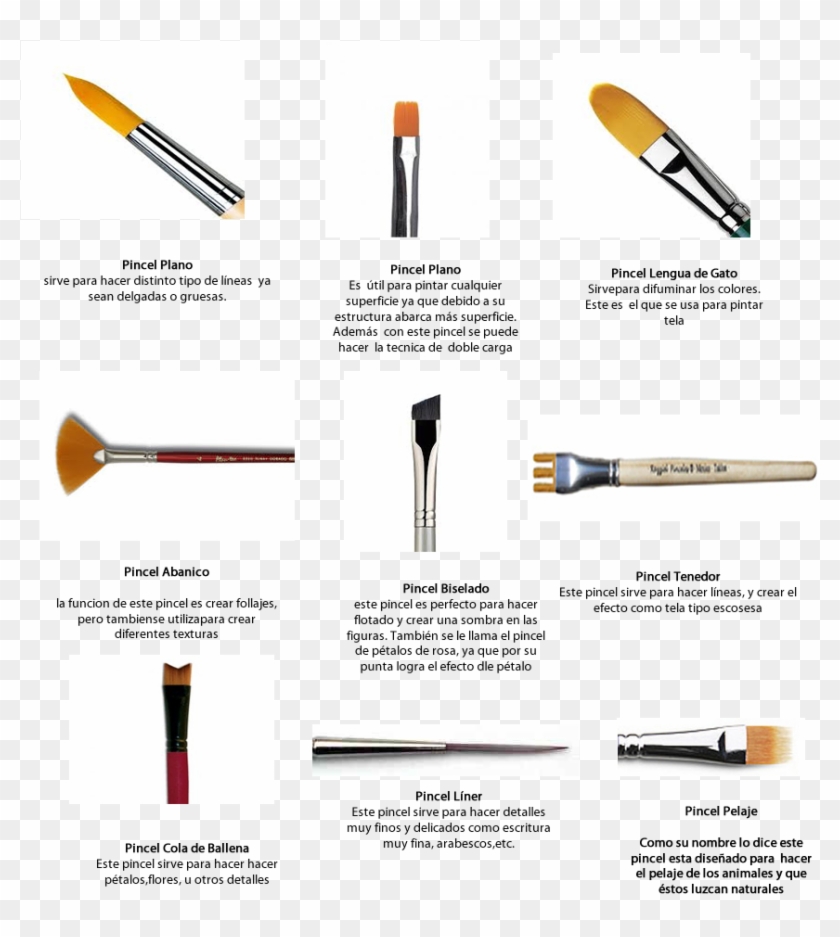 Tipos De Pincel Con Info-manoart Tipos Pinceles Oleo, HD Png Download 898x1019(#6267782) - PngFind