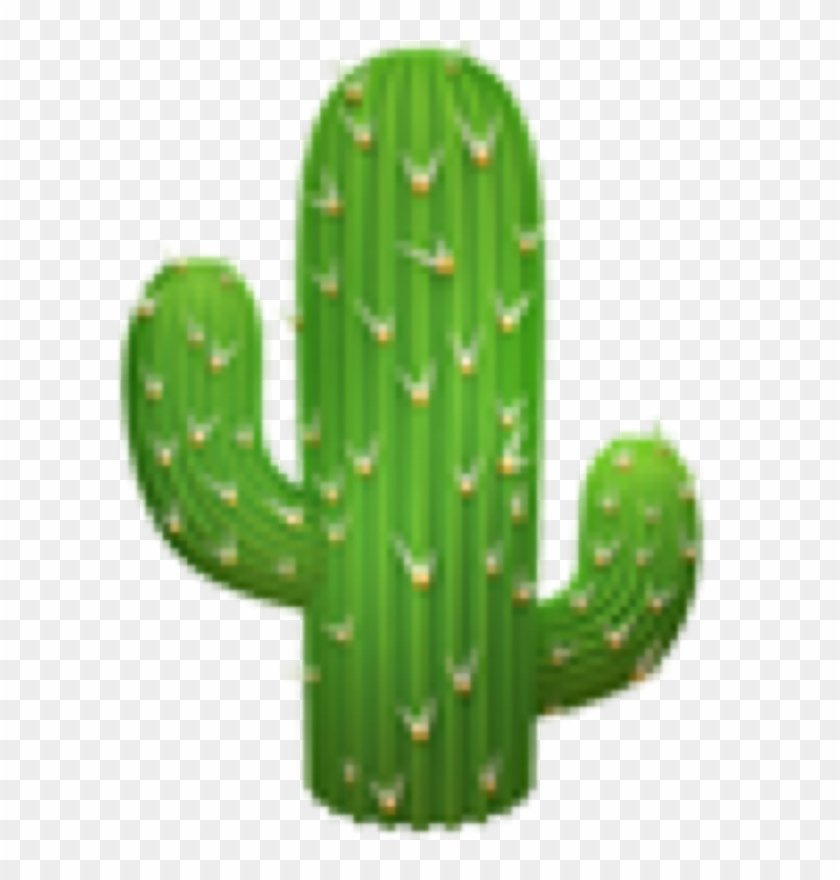 cactus #emoji #emojis #cute #aesthetic #overlay #edit - Cactus Emoticon, HD  Png Download - 1024x1024(#6271042) - PngFind