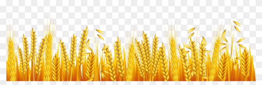 Common Cartoon Transprent Png Free Download Grass - Autumn Grass Clipart, Transparent Png - 1501x420(#6283399) - PngFind Common Cartoon Transprent Png Free Download Grass - Autumn Grass Clipart, Transparent Png - 1501x420(#6283399) - PngFind