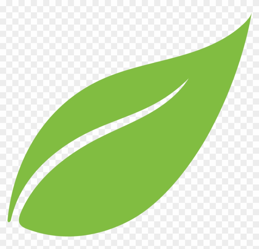 hoja png