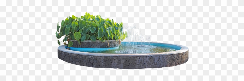 wallpapers Garden Fountain Fountain Top View Png fountain pond urban freetoedit