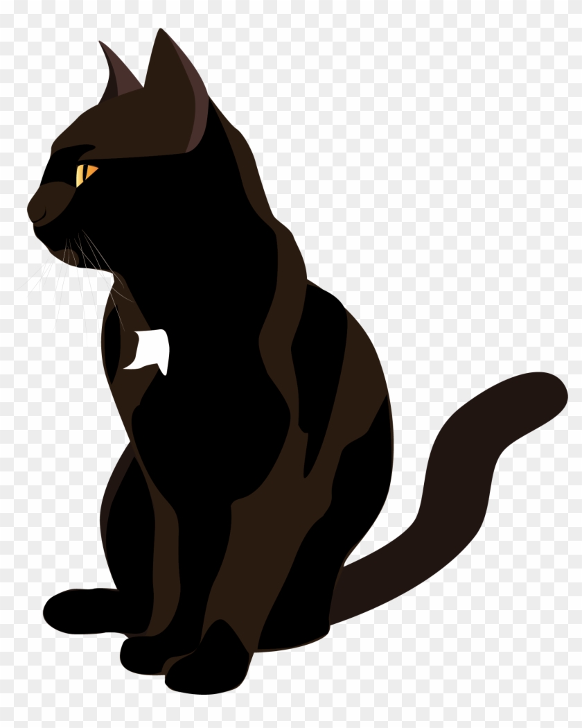 Miraculous Ladybug And Chat Noir, black cat D cartoon transparent  background PNG clipart