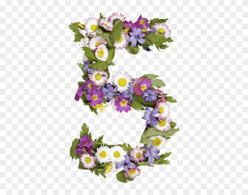 Wildflowers Font Number 5 Flower Png Transparent Png 595x595