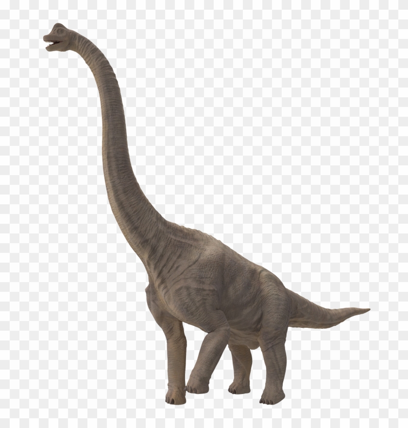 Sauropod Png File - Dinosaurios Cuello Largo Nombre, Transparent Png -  2048x2048(#6323824) - PngFind