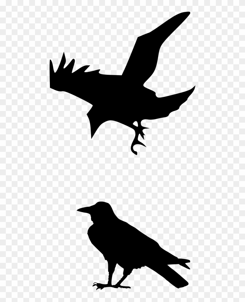 Raven Silhouette Png, Transparent Png - 500x954(#6331770) - PngFind