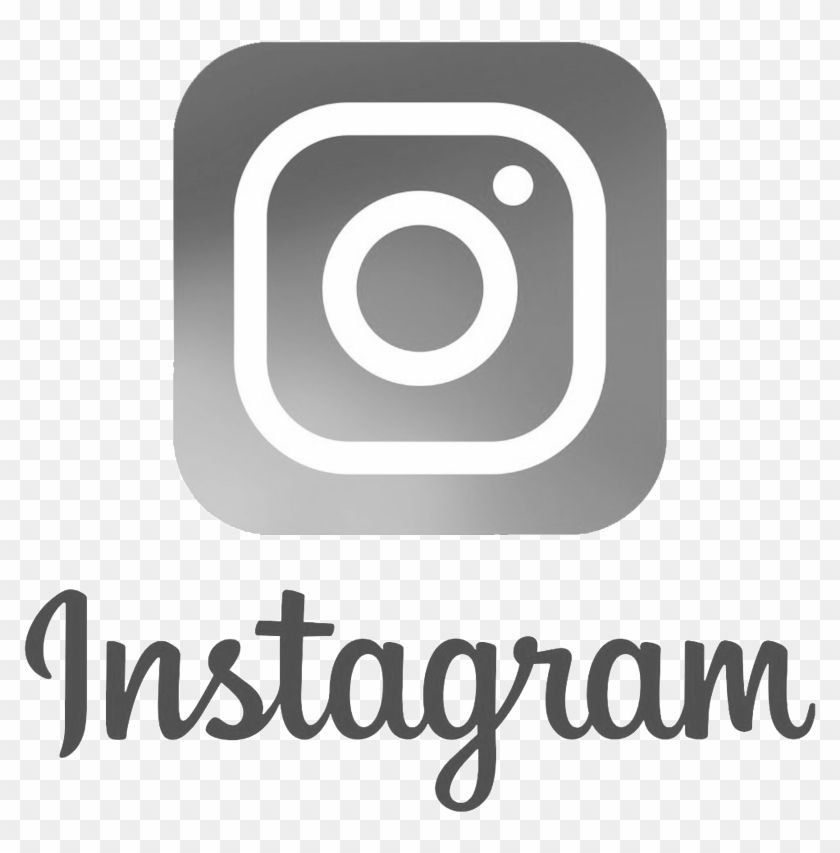 Instagram App Logo Png Circle Transparent Png 1000x866