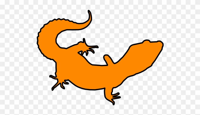 Leopard Gecko Clip Art, HD Png Download - 744x1052(#6337670) - PngFind