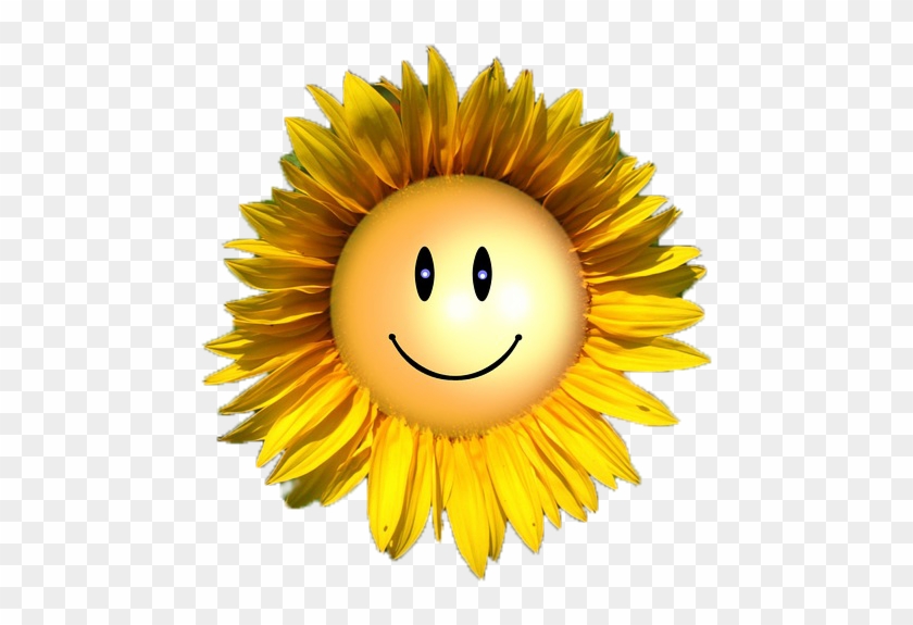 sunflower smiley cushion