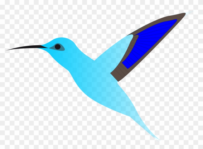 Hummingbird Flight Cartoon Wing - Cartoon Hummingbird Png, Transparent Png - 1090x750(#6379910) - PngFind Hummingbird Flight Cartoon Wing - Cartoon Hummingbird Png, Transparent Png - 1090x750(#6379910) - PngFind