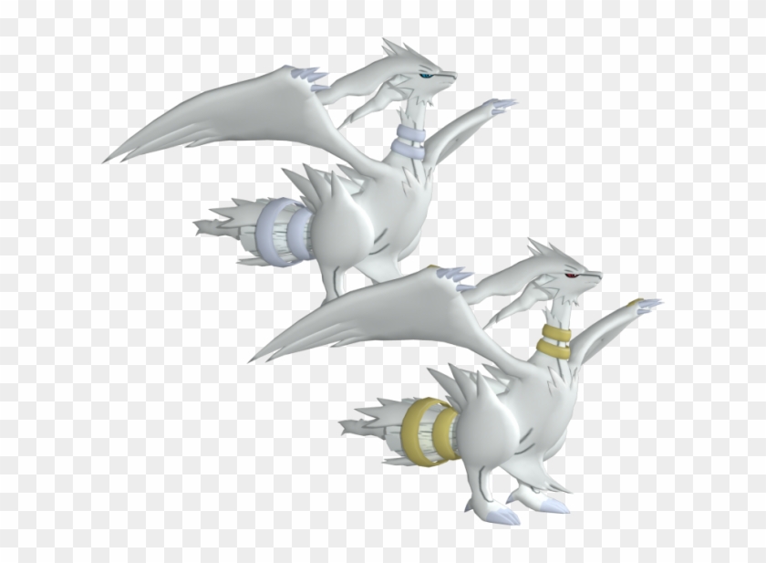 reshiram model