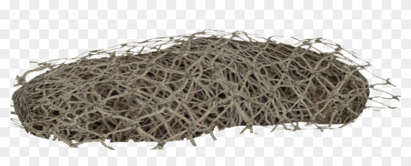 Netting Netting Dayz, HD Png Download