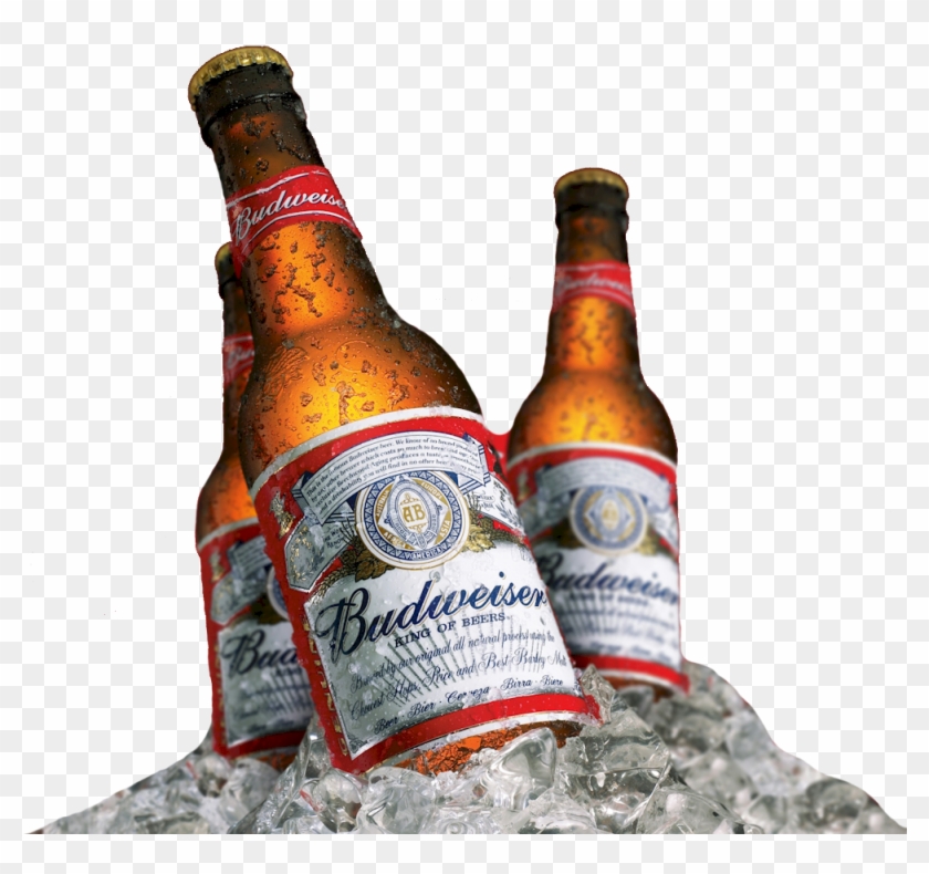 Budweiser Logo Budweiser Bottle Hd Png Download 1024x1024 647136 Pngfind