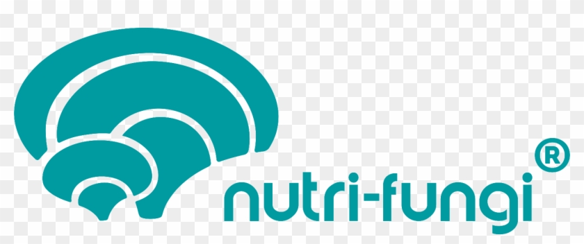 Numonyx, HD Png Download - 1428x532(#6403202) - PngFind