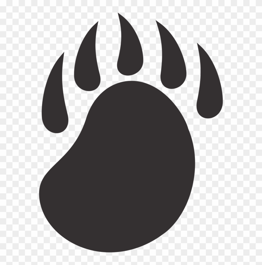 Garra De Oso Png, Transparent Png - 590x770(#6417005) - PngFind