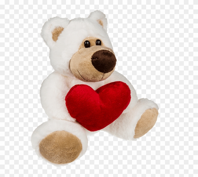 oso peluche png